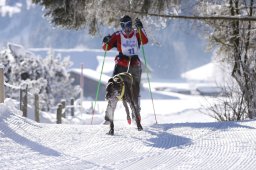 Lenk 2013